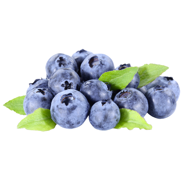 Myrtille (Bleuet) barquette de 125gr | Sebala Fruits N°1 en Algérie ,vente  de fruits exotique et hors saison 