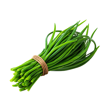 Botte ciboulette