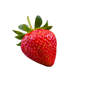Fraise 