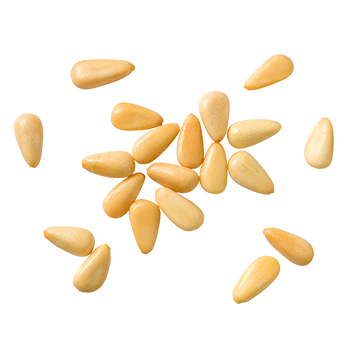 Pignons de pin 