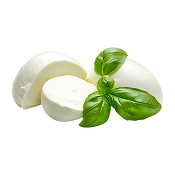mozarella