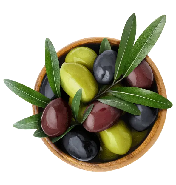 L'olive