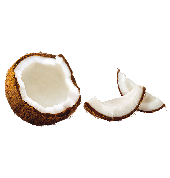La noix de coco