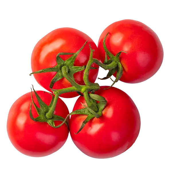 La tomate grappe