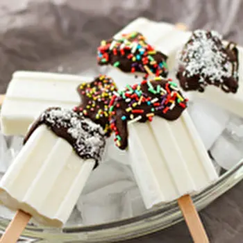 Esquimaux yaourt/coco et chocolat pour petits pingouins