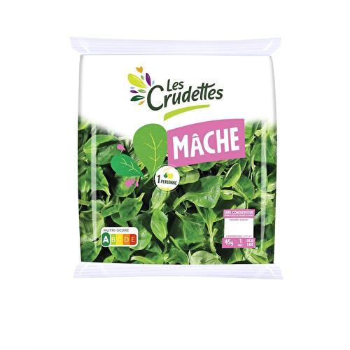 Endives : le sachet de 1 kg à Prix Carrefour