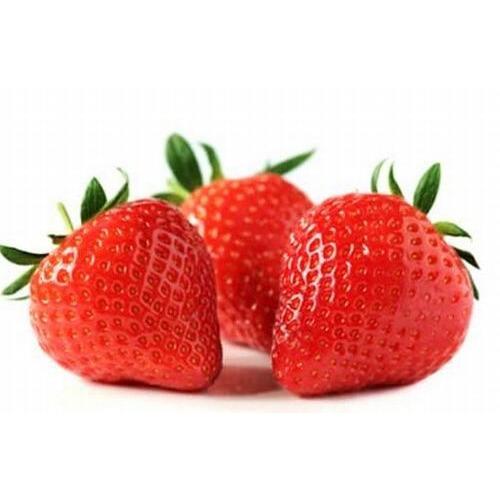 Jeu de 5 pièces, fraise Fraeser fraise avec pointe – Grandado