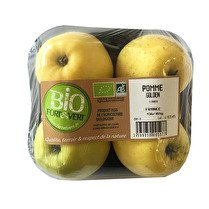 FORT&VERT Bio pomme Golden barquette 4 fruits