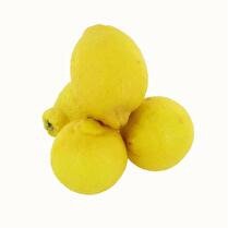 VOTRE PRIMEUR PROPOSE Citron bio 500g