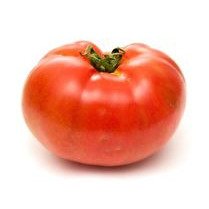 VOTRE PRIMEUR PROPOSE Tomate à farcir