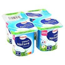 Ferments pour yaourt nature maison DANONE : la boite de 3x2g à