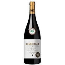LAME DU TERROIR Bourgogne Pinot Noir AOP 12.5%