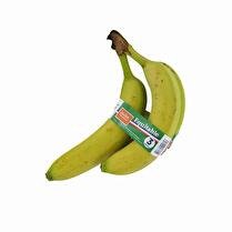 VOTRE PRIMEUR PROPOSE banane francaise equitable 3 fruits