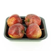 VOTRE PRIMEUR PROPOSE Pomme bicolore barquette 4 fruits