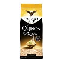 TAUREAU AILÉ Le quinoa blanc d'Anjou
