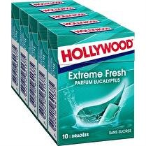 HOLLYWOOD Chewing-gums fresh eucalyptus 5x10 dragées