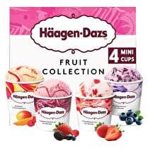 HÄAGEN DAZS Mini pot glacés fruits collection  x 4