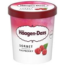 HÄAGEN DAZS Pot sorbet Raspberry