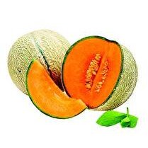 VOTRE RAYON VOUS PROPOSE Melon