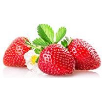 VOTRE PRODUCTEUR LOCAL VOUS PROPOSE fraise ronde