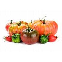 VOTRE PRODUCTEUR LOCAL VOUS PROPOSE Tomate ancienne