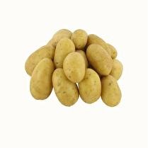 VOTRE PRIMEUR PROPOSE Pommes de terre de consommation 1 kg