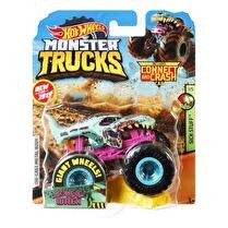 HOT WHEELS Monster trucks véhicule 1:64