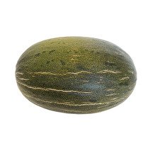 VOTRE PRIMEUR PROPOSE Melon vert Piel de sapo