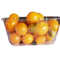 VOTRE PRODUCTEUR LOCAL VOUS PROPOSE Tomate cerise jaune