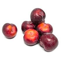 VOTRE PRIMEUR PROPOSE Prune sanguine 6 fruits