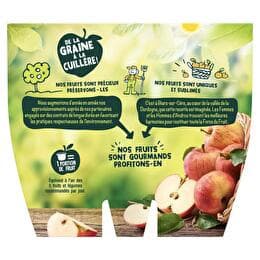 ANDROS Compote pomme nature 8x100g