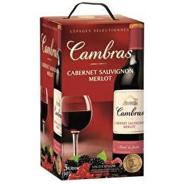 CAMBRAS Vin d'Espagne Rouge 5L 12%