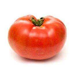 VOTRE PRIMEUR PROPOSE Tomate ronde à farcir