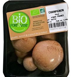 FORT&VERT Bio champignon blond barquette 200g