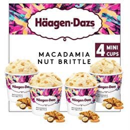 HÄAGEN DAZS Mini pot macadamia nut brittle x4