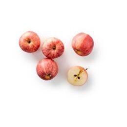 VOTRE PRODUCTEUR LOCAL PROPOSE Pommes Jonagold locales