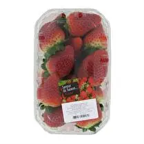 Votre primeur propose, Fraise