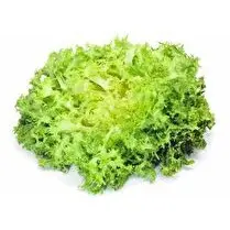 Votre primeur propose, Salade frisée
