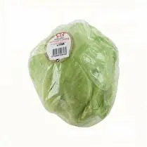 Votre primeur propose, Laitue iceberg