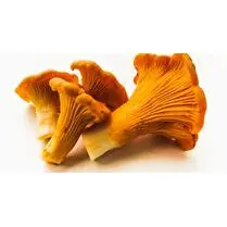 Votre primeur propose, Girolle