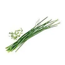 Votre primeur propose, Ciboulette