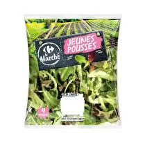 Carrefour, Mélange Jeunes pousses sachet 125g