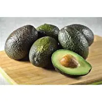 Votre primeur propose, Avocat