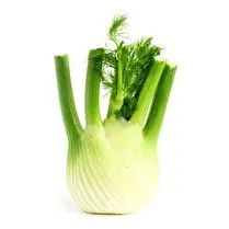 Votre primeur propose, Fenouil