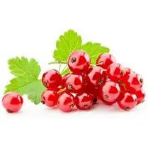 Votre primeur propose, Groseille rouge barquette 125g