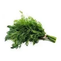 Votre primeur propose, Persil plat