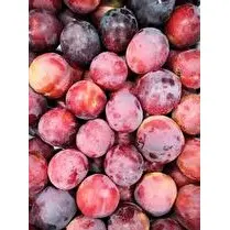 Votre primeur propose, Prune rouge