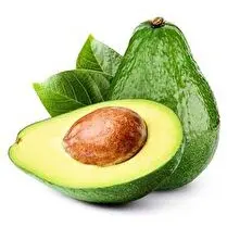 Votre primeur propose, Avocat Tropical