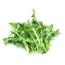 Votre primeur, Pissenlit sachet 200g