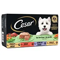 César, Terrines traiteur pour chien 4 Variétés